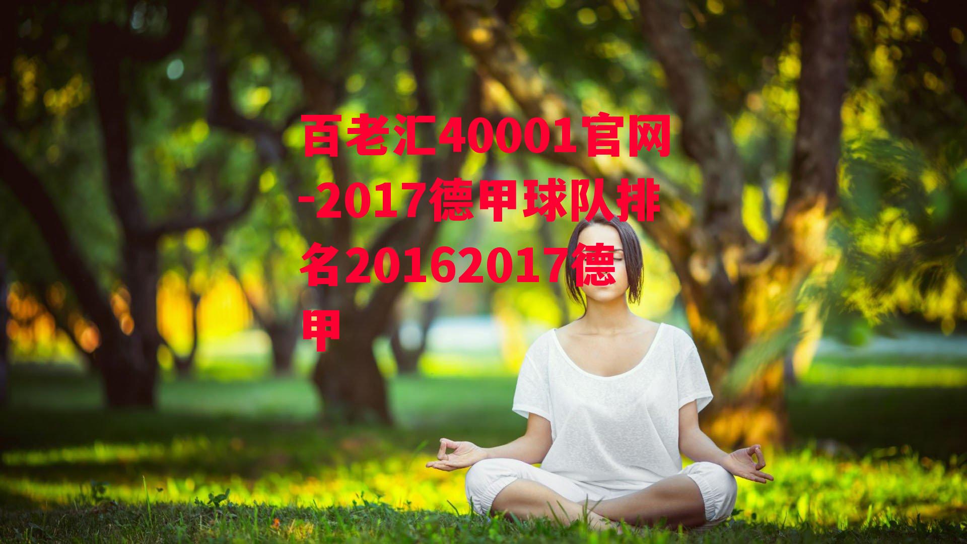 2017德甲球队排名20162017德甲